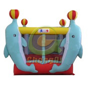 dolphins inflatable bouncer